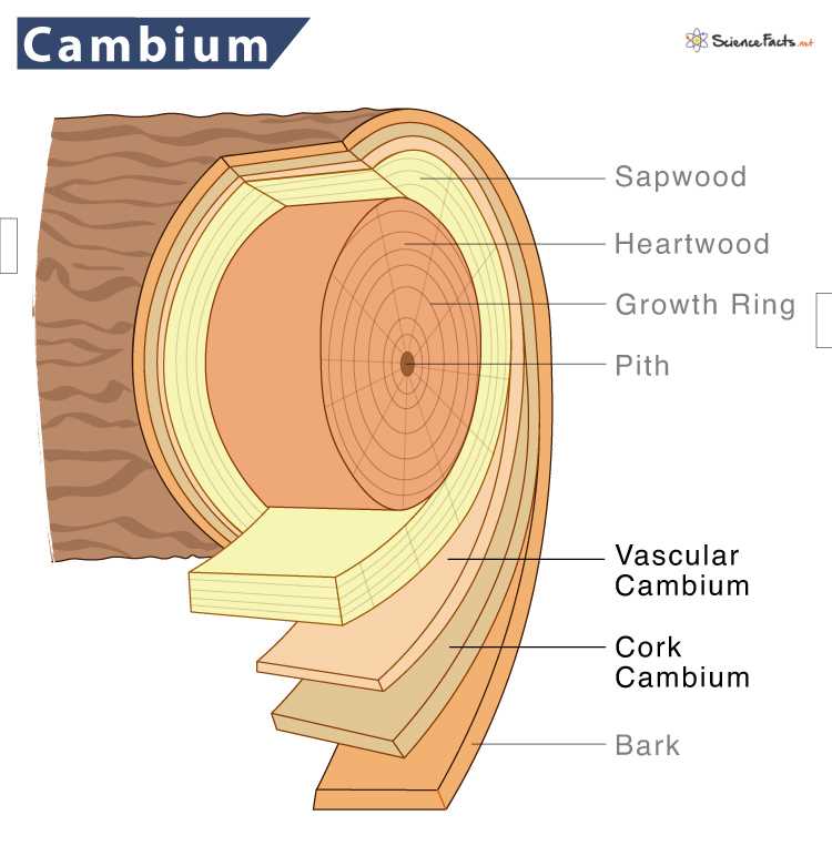cambium-e500-datasheet