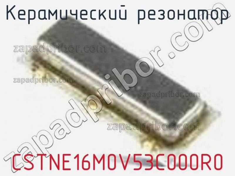 cstne8m00gh5c000r0-datasheet