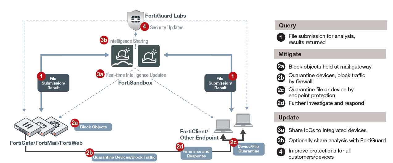 fortisandbox-datasheet