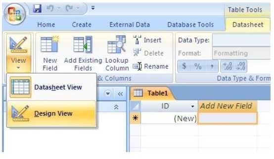 in-datasheet-view-add-a-new-field