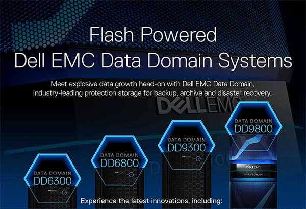 dell-data-domain-datasheet