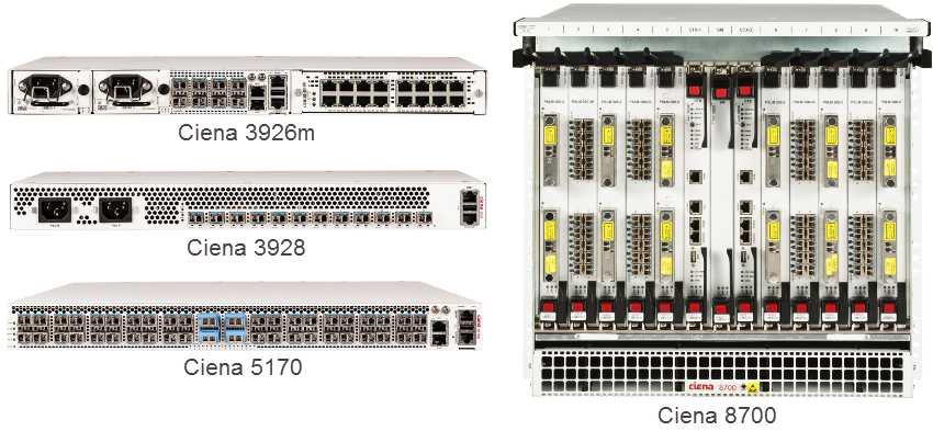 ciena-waveserver-datasheet