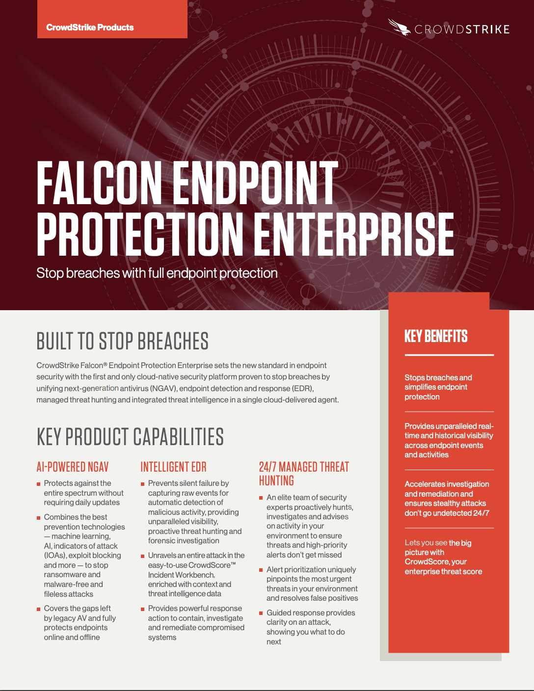 falcon-complete-datasheet