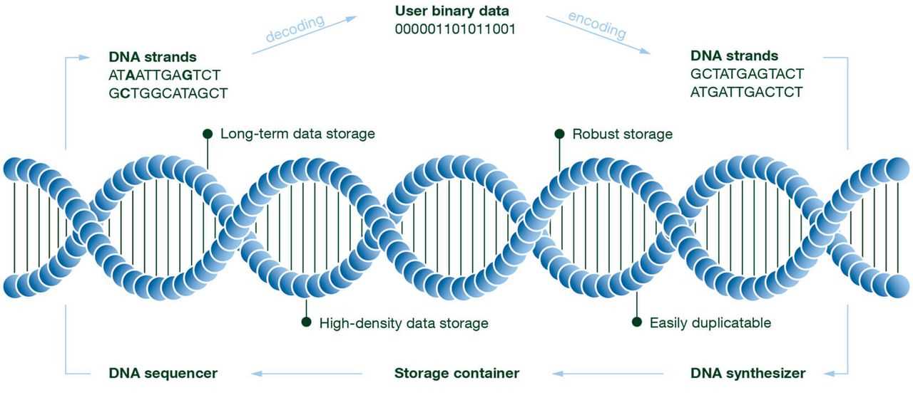 dna-datasheet