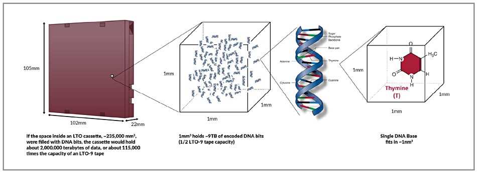 dna-datasheet