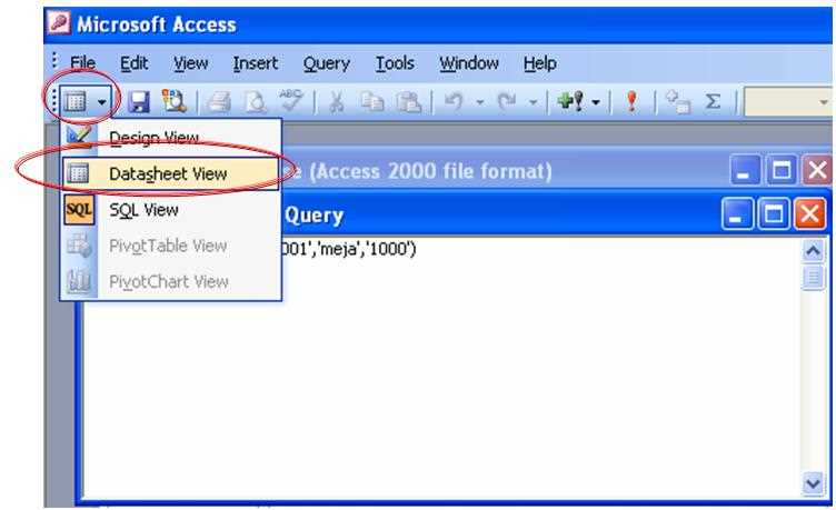 datasheet-view-access datasheet-view-access