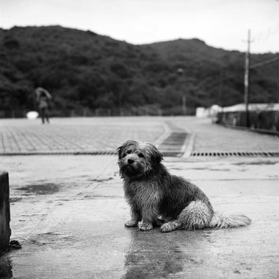 rollei-retro-400s-datasheet