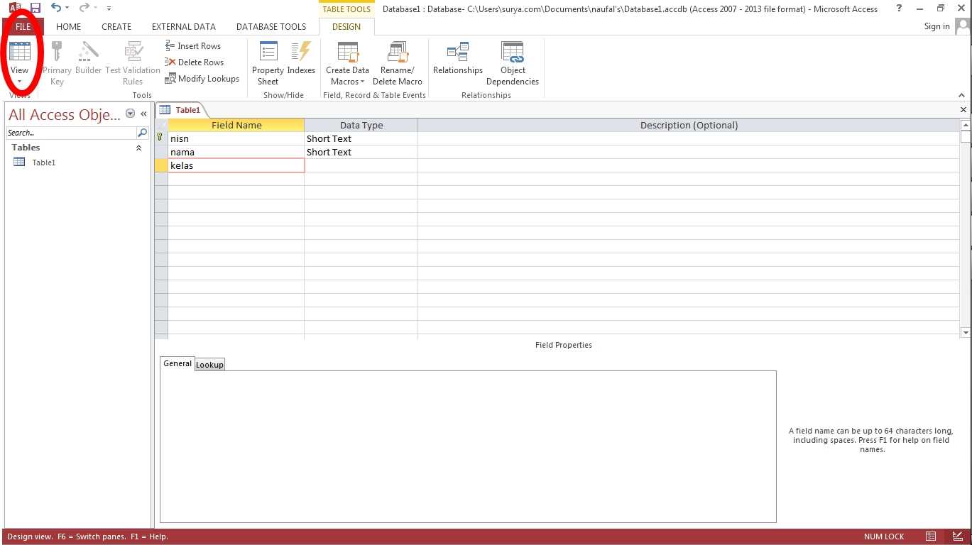 in-datasheet-view-add-a-new-field