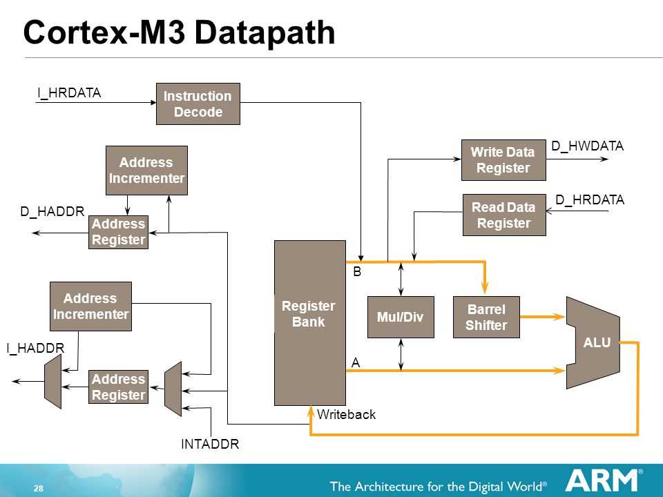 cortex-xpanse-datasheet