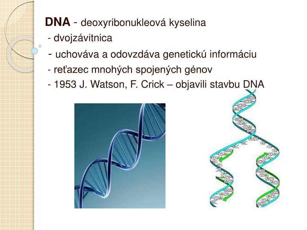 dna-datasheet