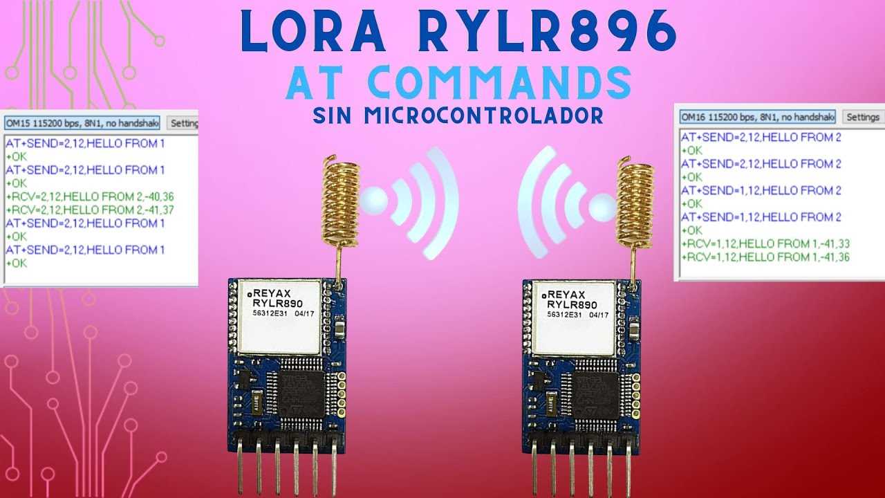 reyax-rylr896-lora-module-datasheet